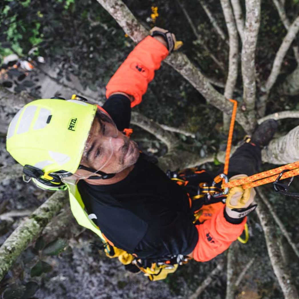 Petzl Solutions - Boomsnoeien / Boomverzorging Set