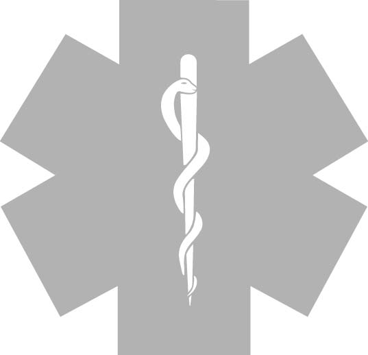 Borstlogo star of life REFLECTEREND - grijs